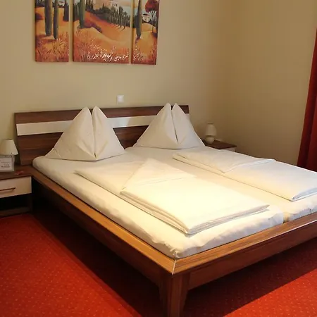 酒店 施瓦茨餐厅酒店 3*