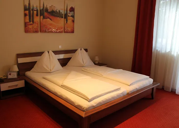 Hotel Restaurant Schwartz 3*